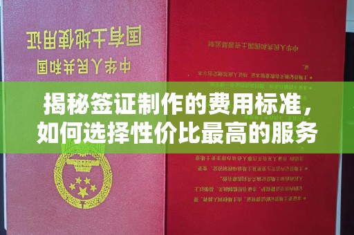 黑水揭秘签证制作的费用标准，如何选择性价比最高的服务？