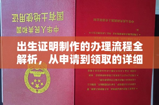 黑水出生证明制作的办理流程全解析，从申请到领取的详细指南
