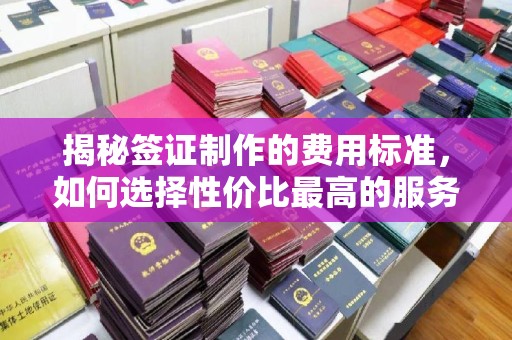 黑水揭秘签证制作的费用标准，如何选择性价比最高的服务？