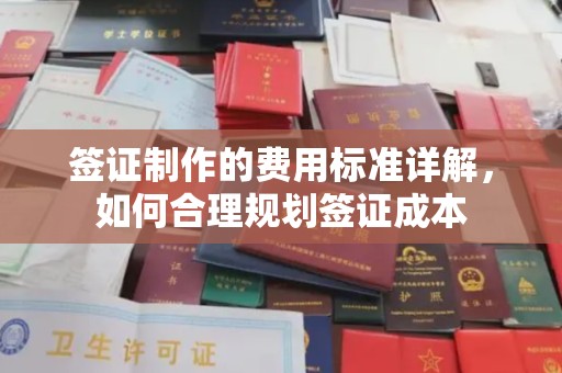 黑水签证制作的费用标准详解，如何合理规划签证成本