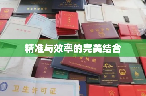 黑水精准与效率的完美结合